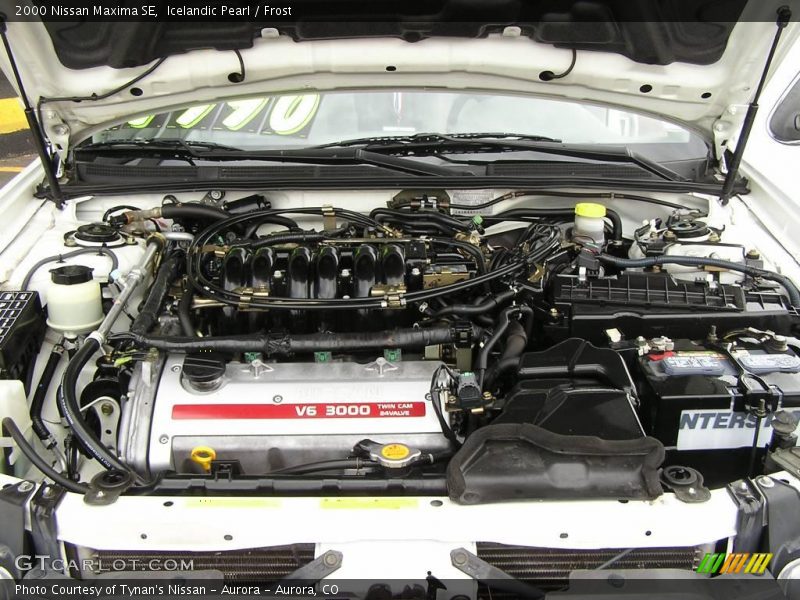 Icelandic Pearl / Frost 2000 Nissan Maxima SE