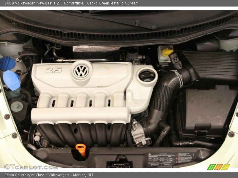 Gecko Green Metallic / Cream 2009 Volkswagen New Beetle 2.5 Convertible