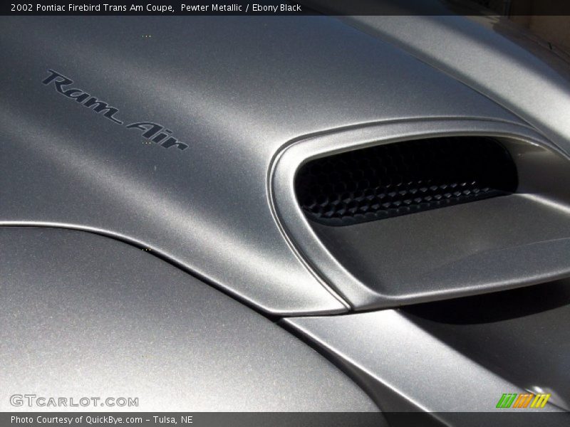 Pewter Metallic / Ebony Black 2002 Pontiac Firebird Trans Am Coupe