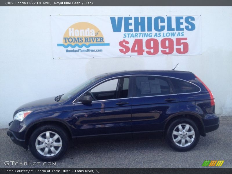 Royal Blue Pearl / Black 2009 Honda CR-V EX 4WD