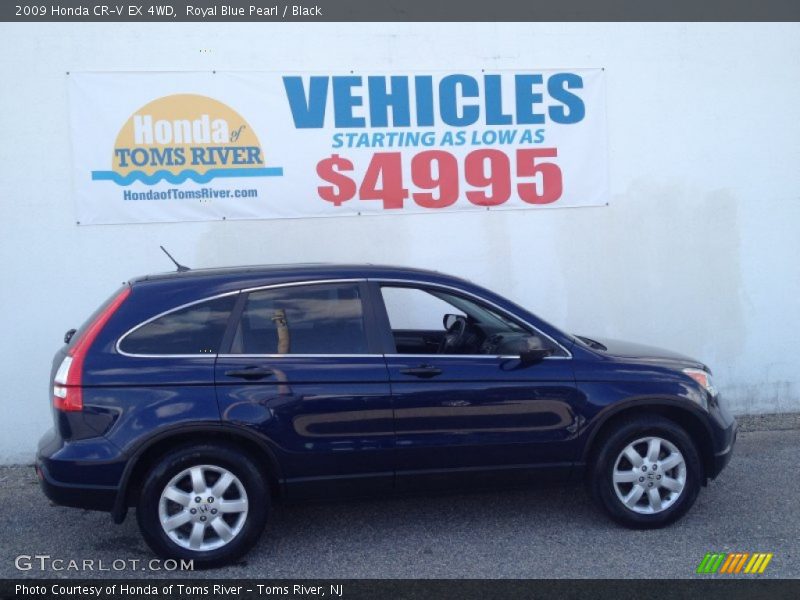 Royal Blue Pearl / Black 2009 Honda CR-V EX 4WD