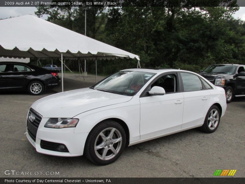 Ibis White / Black 2009 Audi A4 2.0T Premium quattro Sedan