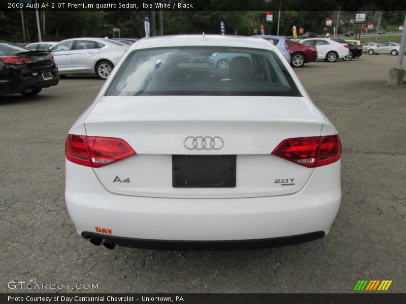 Ibis White / Black 2009 Audi A4 2.0T Premium quattro Sedan