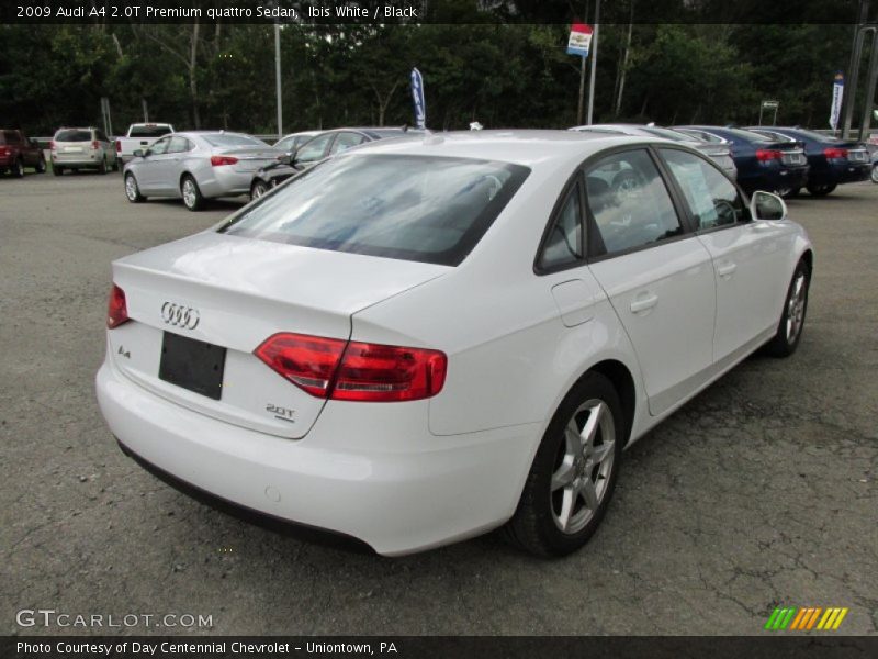 Ibis White / Black 2009 Audi A4 2.0T Premium quattro Sedan