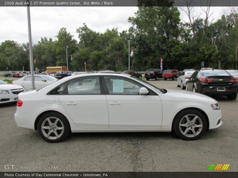 Ibis White / Black 2009 Audi A4 2.0T Premium quattro Sedan