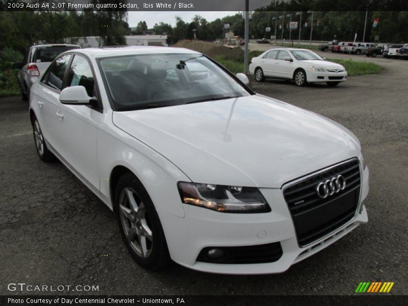 Ibis White / Black 2009 Audi A4 2.0T Premium quattro Sedan