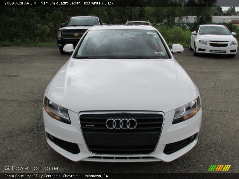 Ibis White / Black 2009 Audi A4 2.0T Premium quattro Sedan