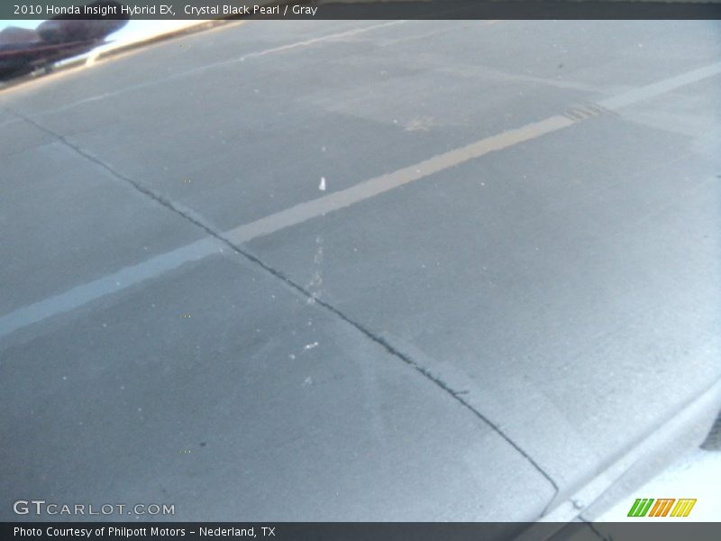 Crystal Black Pearl / Gray 2010 Honda Insight Hybrid EX