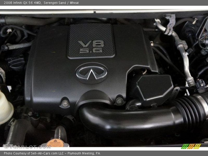 Serengeti Sand / Wheat 2008 Infiniti QX 56 4WD