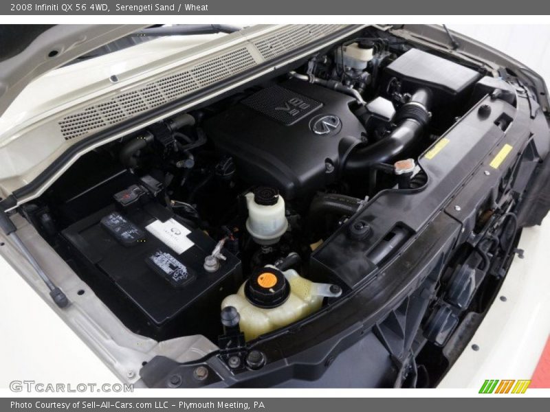 Serengeti Sand / Wheat 2008 Infiniti QX 56 4WD