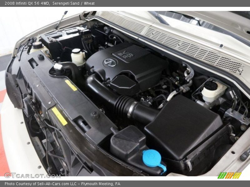 Serengeti Sand / Wheat 2008 Infiniti QX 56 4WD