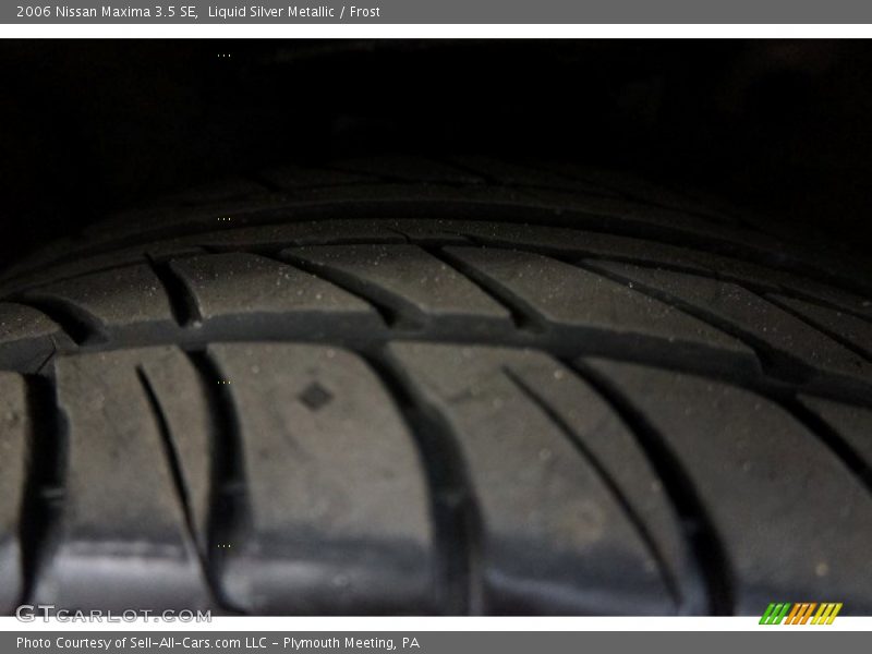 Liquid Silver Metallic / Frost 2006 Nissan Maxima 3.5 SE