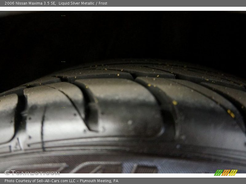 Liquid Silver Metallic / Frost 2006 Nissan Maxima 3.5 SE