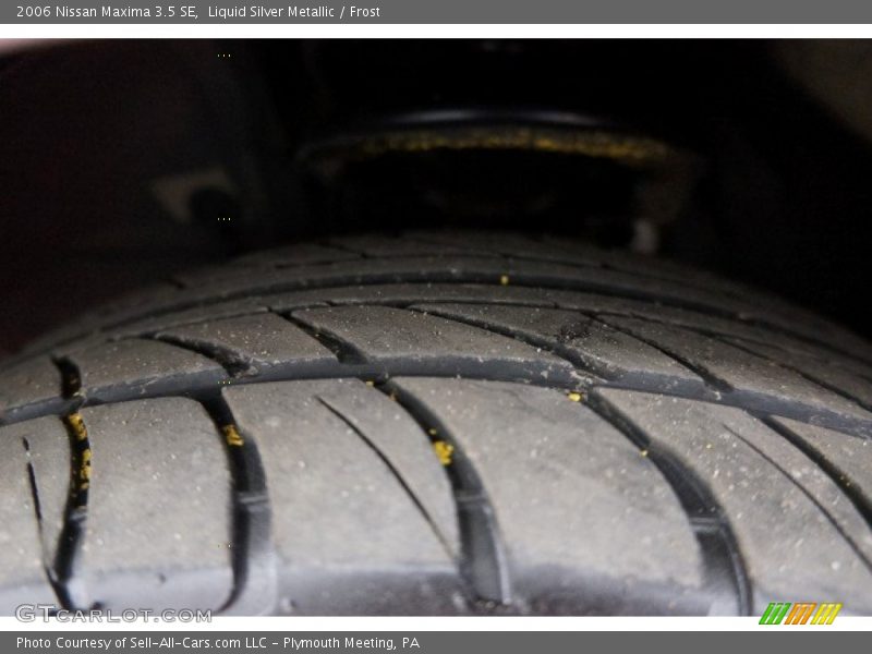 Liquid Silver Metallic / Frost 2006 Nissan Maxima 3.5 SE