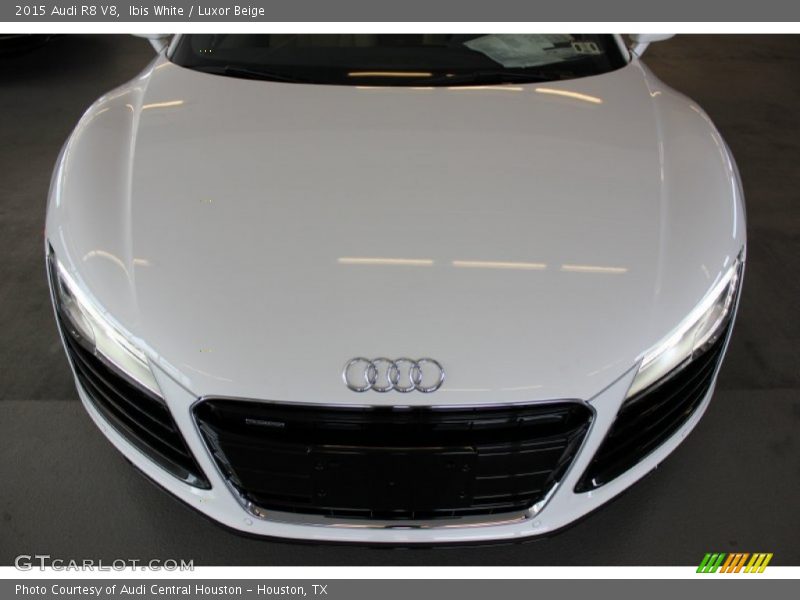 Ibis White / Luxor Beige 2015 Audi R8 V8