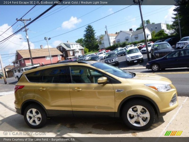 Karat Gold / Medium Light Stone 2014 Ford Escape SE 2.0L EcoBoost 4WD