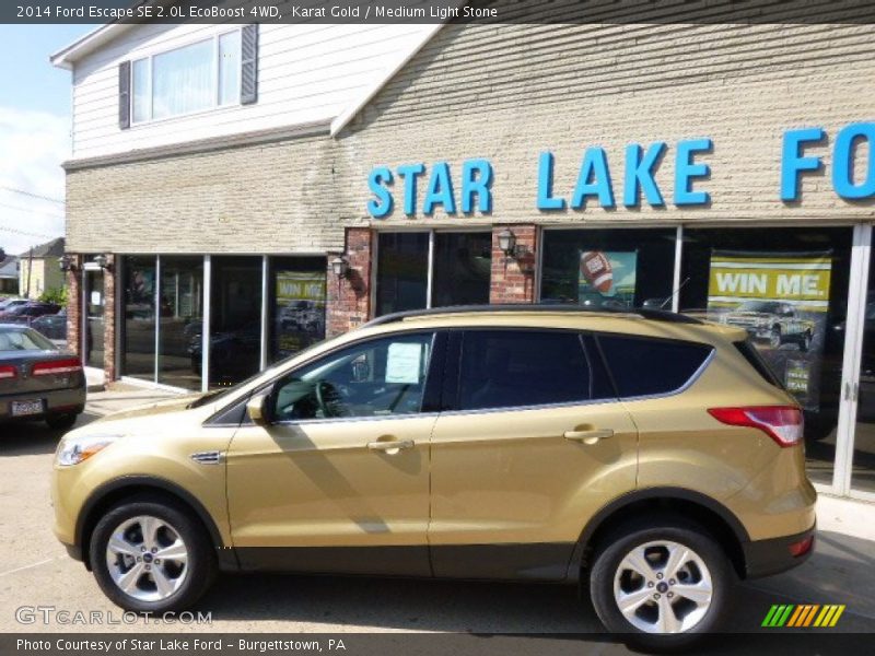 Karat Gold / Medium Light Stone 2014 Ford Escape SE 2.0L EcoBoost 4WD