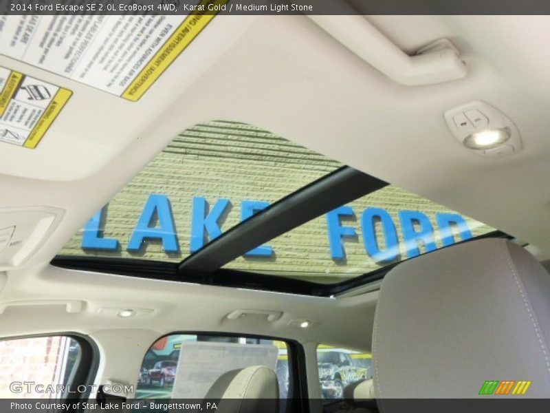 Karat Gold / Medium Light Stone 2014 Ford Escape SE 2.0L EcoBoost 4WD