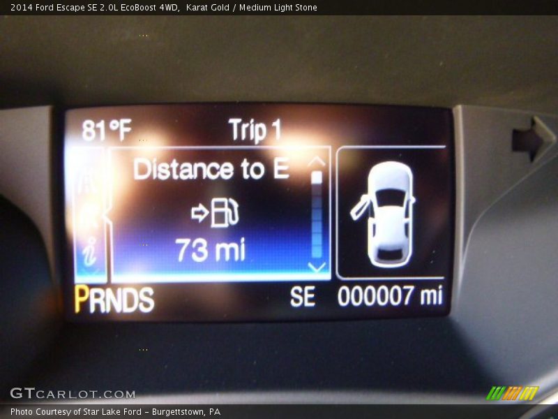 Karat Gold / Medium Light Stone 2014 Ford Escape SE 2.0L EcoBoost 4WD