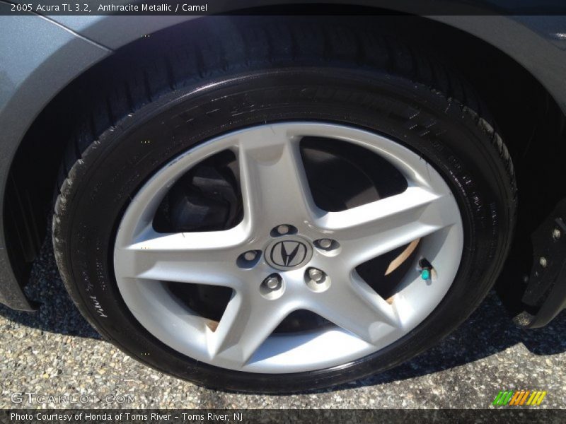 Anthracite Metallic / Camel 2005 Acura TL 3.2