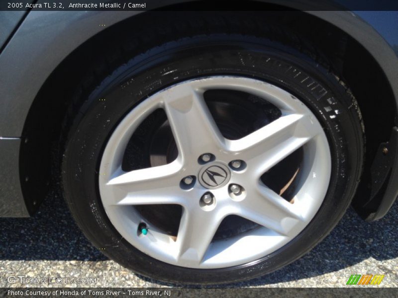 Anthracite Metallic / Camel 2005 Acura TL 3.2