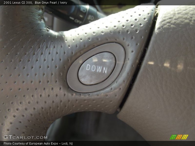 Blue Onyx Pearl / Ivory 2001 Lexus GS 300