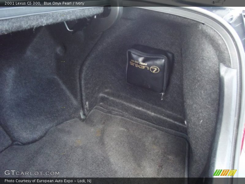 Blue Onyx Pearl / Ivory 2001 Lexus GS 300