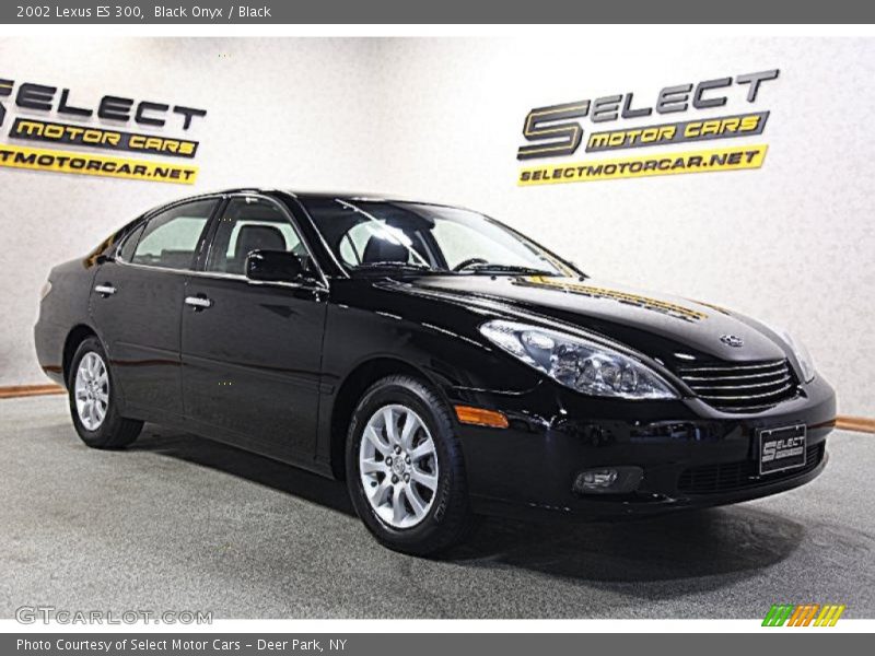 Black Onyx / Black 2002 Lexus ES 300