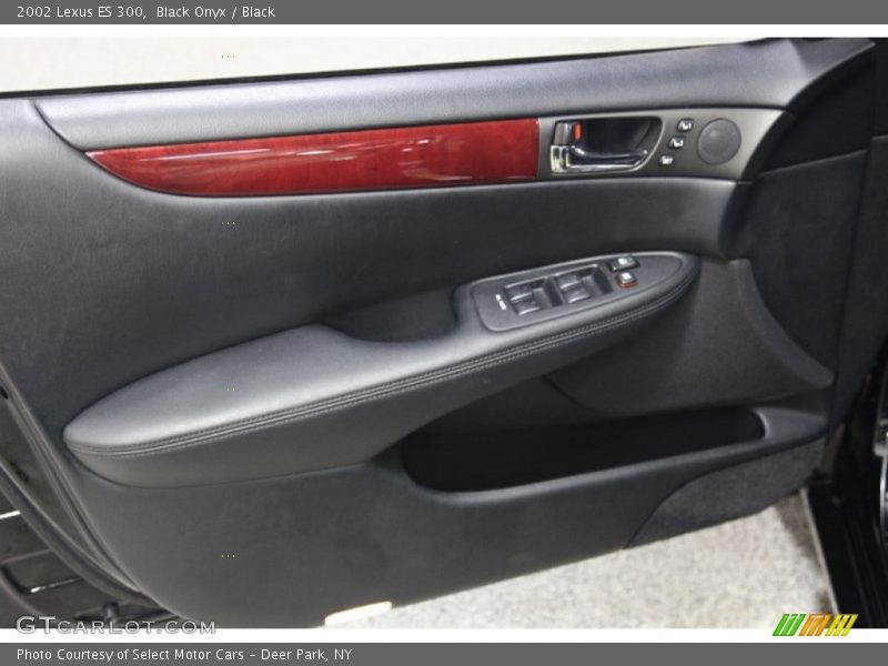 Black Onyx / Black 2002 Lexus ES 300