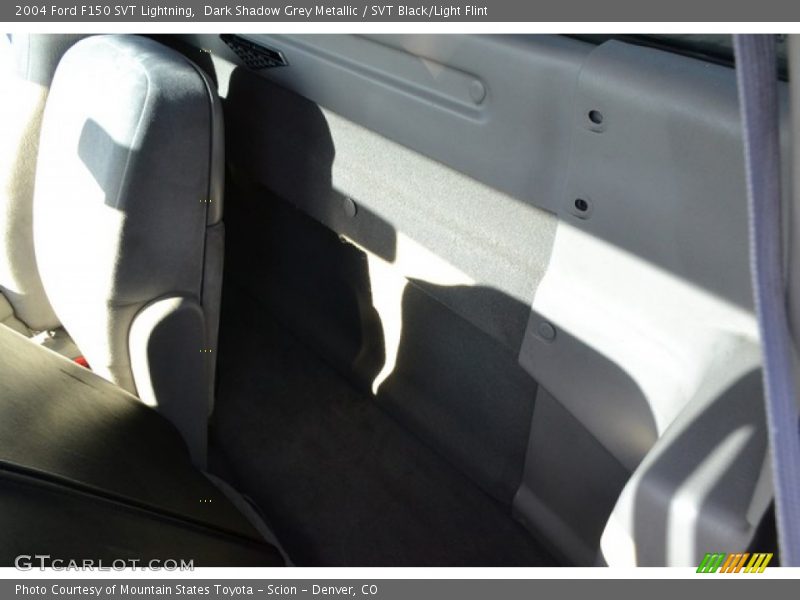 Dark Shadow Grey Metallic / SVT Black/Light Flint 2004 Ford F150 SVT Lightning