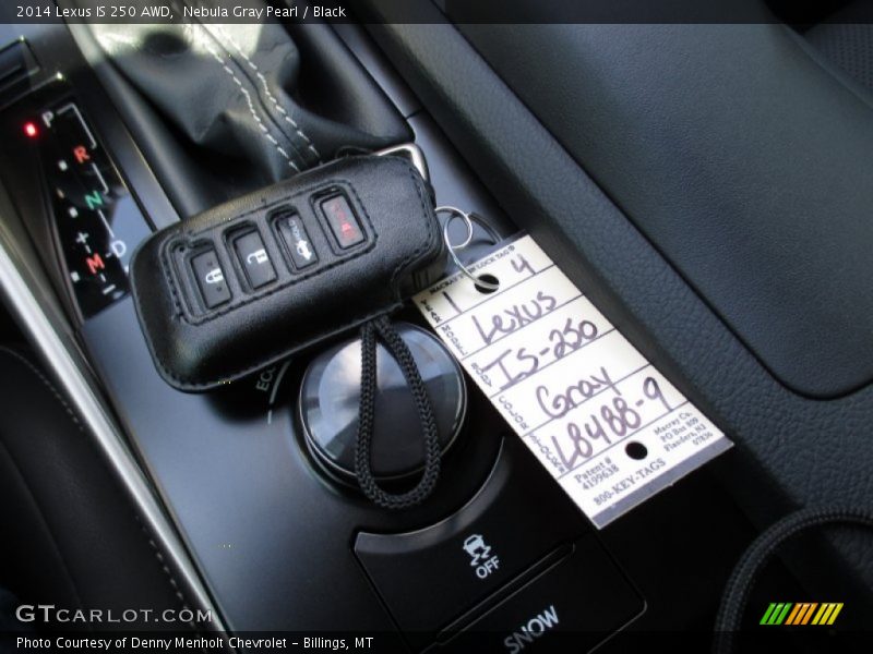 Nebula Gray Pearl / Black 2014 Lexus IS 250 AWD