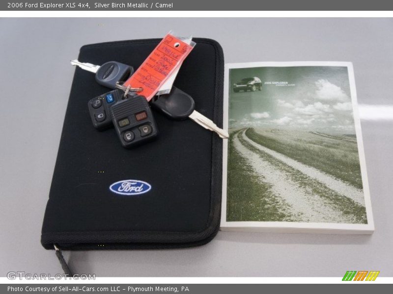 Silver Birch Metallic / Camel 2006 Ford Explorer XLS 4x4