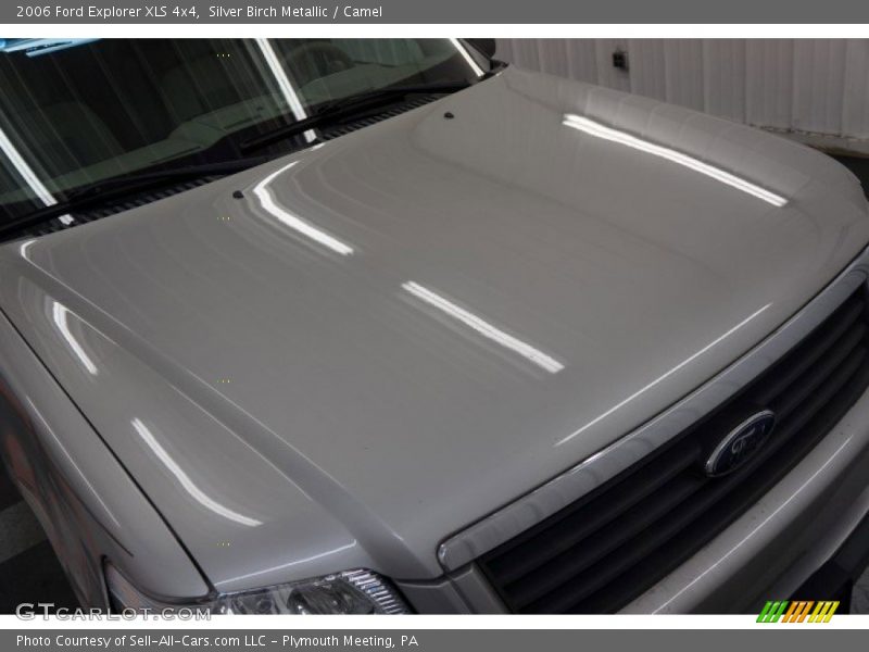 Silver Birch Metallic / Camel 2006 Ford Explorer XLS 4x4