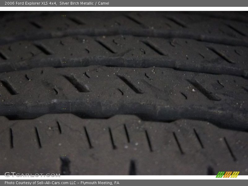 Silver Birch Metallic / Camel 2006 Ford Explorer XLS 4x4