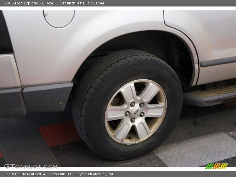 Silver Birch Metallic / Camel 2006 Ford Explorer XLS 4x4