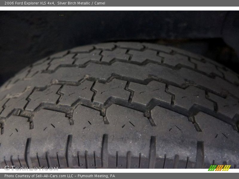 Silver Birch Metallic / Camel 2006 Ford Explorer XLS 4x4