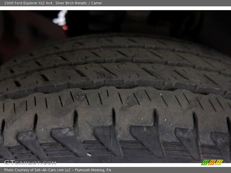 Silver Birch Metallic / Camel 2006 Ford Explorer XLS 4x4