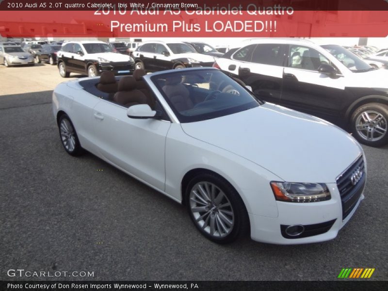 Ibis White / Cinnamon Brown 2010 Audi A5 2.0T quattro Cabriolet