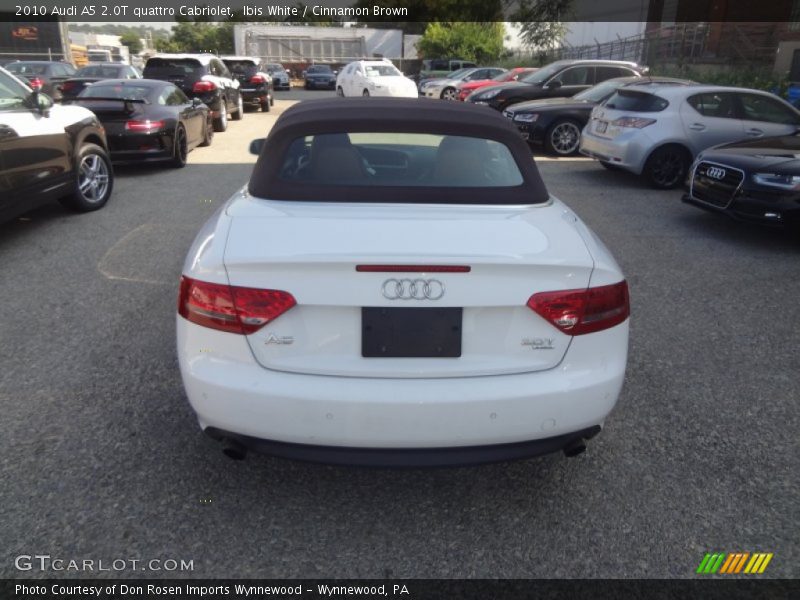 Ibis White / Cinnamon Brown 2010 Audi A5 2.0T quattro Cabriolet