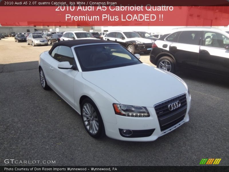 Ibis White / Cinnamon Brown 2010 Audi A5 2.0T quattro Cabriolet