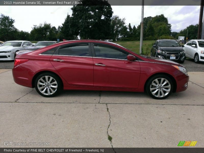 Venetian Red Pearl / Black 2013 Hyundai Sonata SE