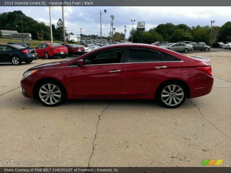 Venetian Red Pearl / Black 2013 Hyundai Sonata SE