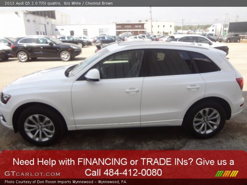 Ibis White / Chestnut Brown 2013 Audi Q5 2.0 TFSI quattro