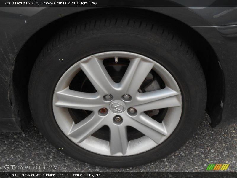 Smoky Granite Mica / Light Gray 2008 Lexus ES 350