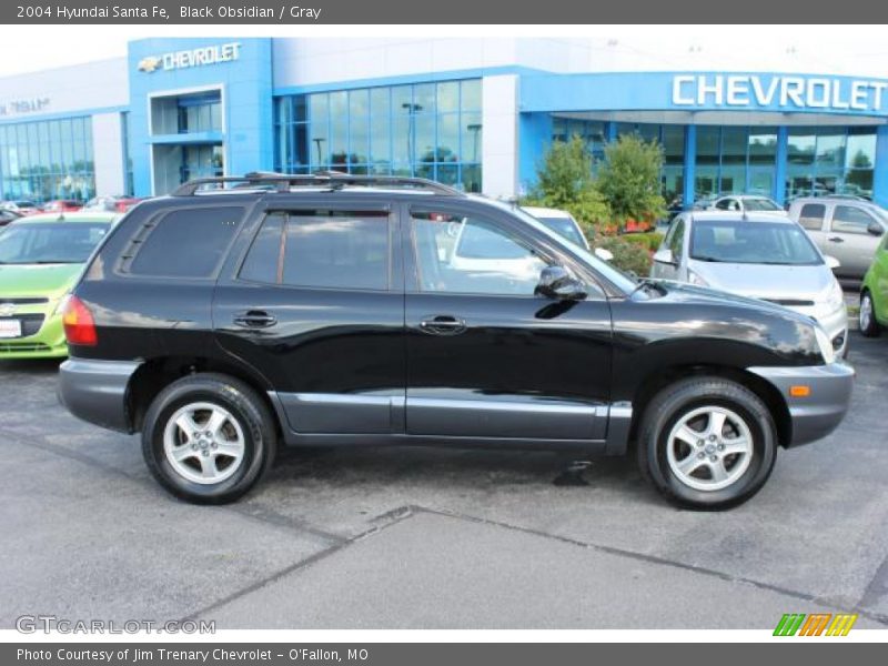 Black Obsidian / Gray 2004 Hyundai Santa Fe