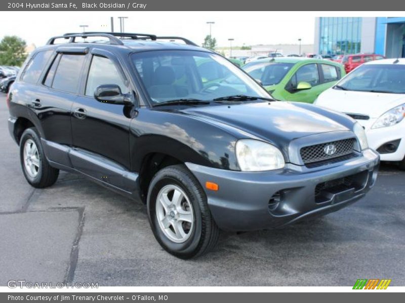 Black Obsidian / Gray 2004 Hyundai Santa Fe