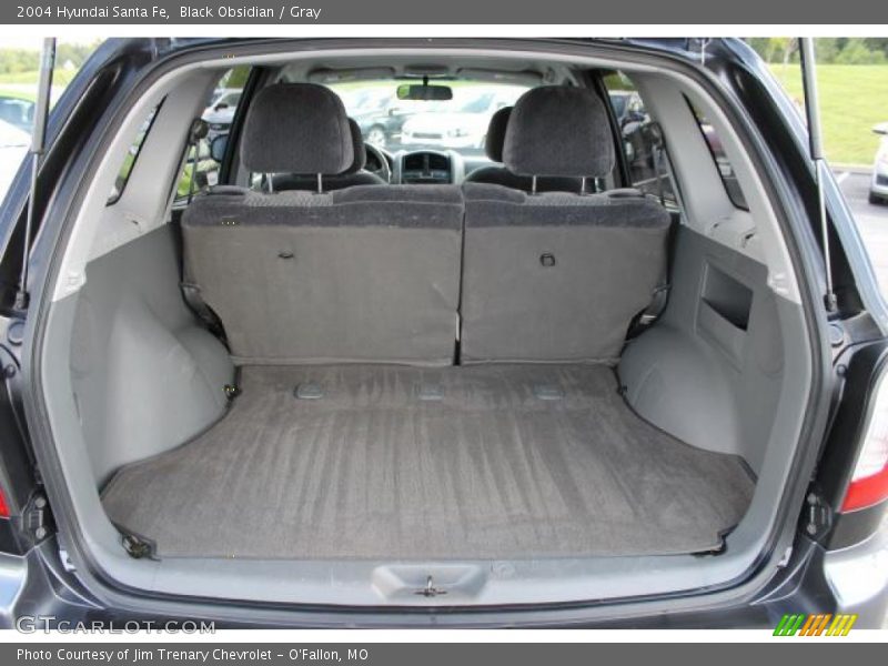 Black Obsidian / Gray 2004 Hyundai Santa Fe