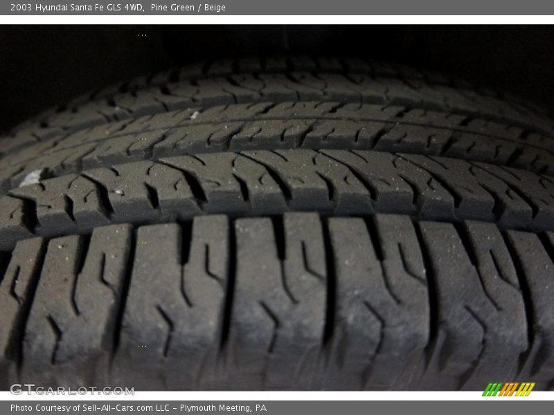 Pine Green / Beige 2003 Hyundai Santa Fe GLS 4WD