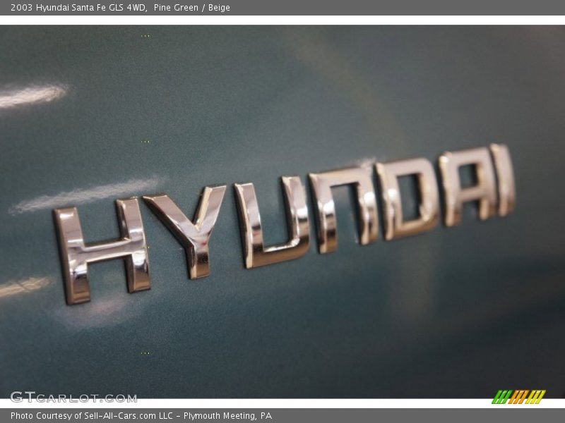 Pine Green / Beige 2003 Hyundai Santa Fe GLS 4WD