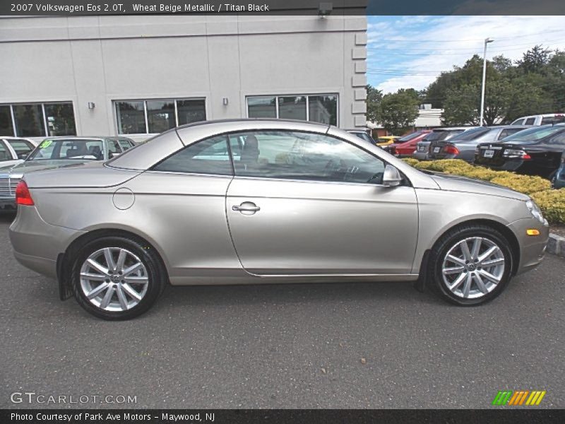 Wheat Beige Metallic / Titan Black 2007 Volkswagen Eos 2.0T